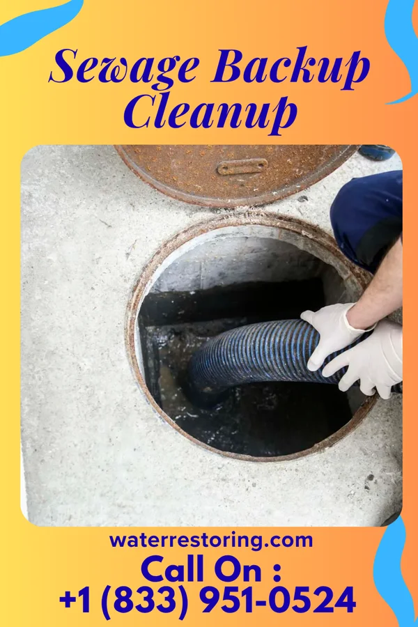 Sewage Backup Cleanup in Grant, MT